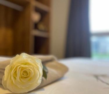 Wachtebeke Apartment | Appartement Minne