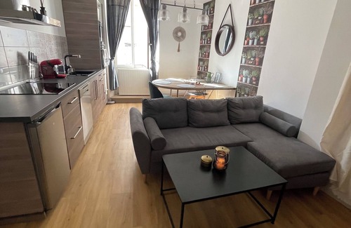 Semur-en-Auxois Apartment | Appartement Moderne Hyper Centre Ville Médiévale