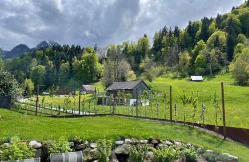 Buerserberg Apartment | Appartement Mona