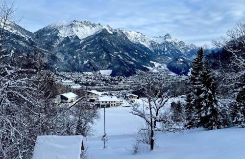 Buerserberg Apartment | Appartement Mona