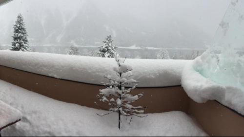 Buchau Apartment | Appartement Mountain Lake