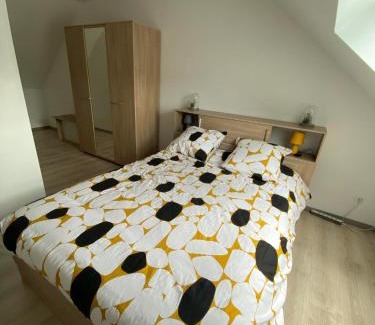 Fraize Apartment | Appartement neuf Vosges