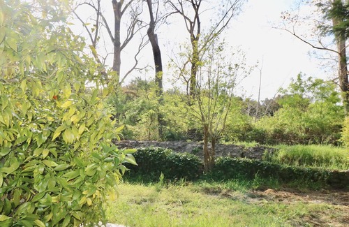 Bravone Apartment | Appartement O'ma