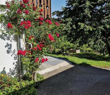 Grattersdorf Apartment | Appartement Panoramablick