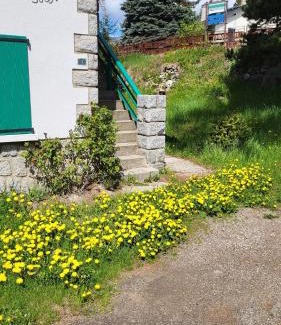 Font-Romeu-Odeillo-Via Apartment | Appartement rez de jardin, proche centre ville