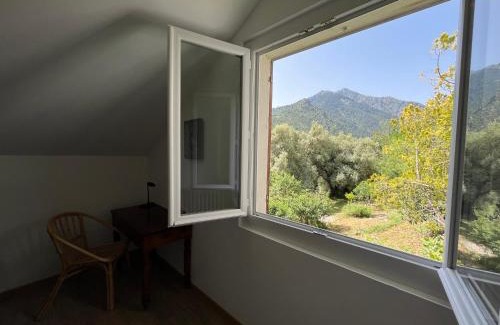 Corte Apartment | Appartement rez de villa CORTE