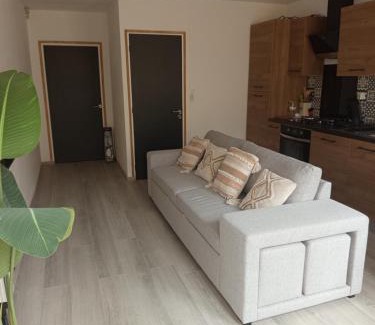 Aubigny-sur-Nere Apartment | Appartement Rez de chaussée