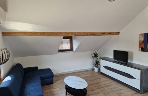Amphion-les-Bains Apartment | Appartement Sous Combe Climatisé 2 éme Étage