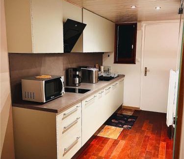 Klingenthal Apartment | Appartement studio