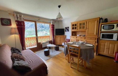 Samoens Apartment | Appartement T2 cabinne à Samoëns avec balcon - FR-1-624-37