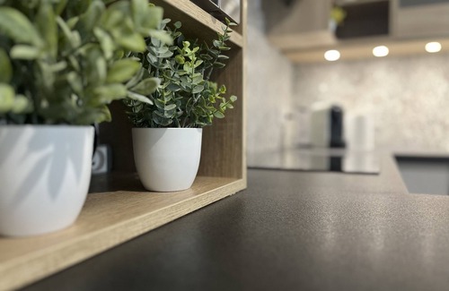 Seynod Apartment | Appartement T2 vu Panoramique sur Annecy