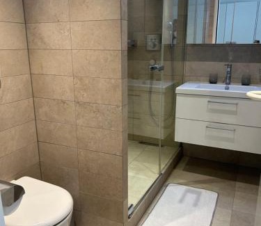 Geneva Old Town Apartment | Appartement very center of Geneva