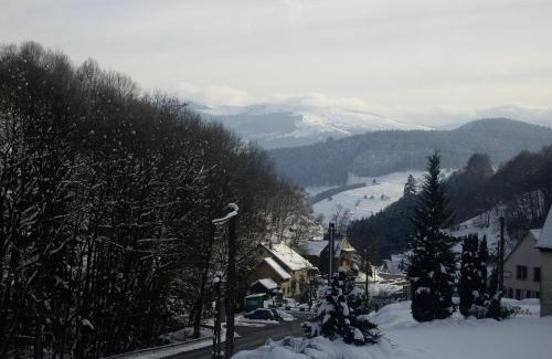Soultzeren Apartment | appartement vue sur la montagne