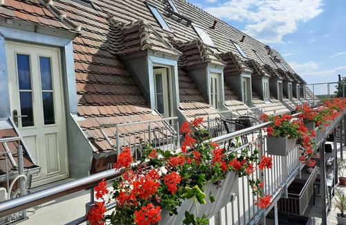 Senftenberg House | Appartment 7 - Seenlandoase Reppist