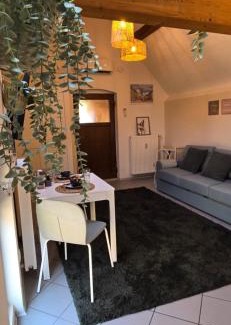 Mutterstadt Apartment | Appartment Mutterstadt Oase - MIS