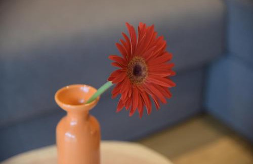 Lutago Apartment | Appartments Hopfgartner Eurospar