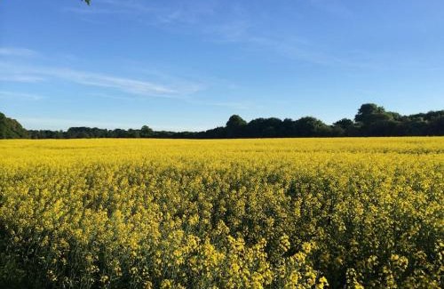 Castlebellingham House | Apple Cottage - Luxury Stay at Bellingham Estate