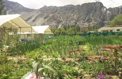 She RV Rental | Apple Cottage Nubra - Glamping