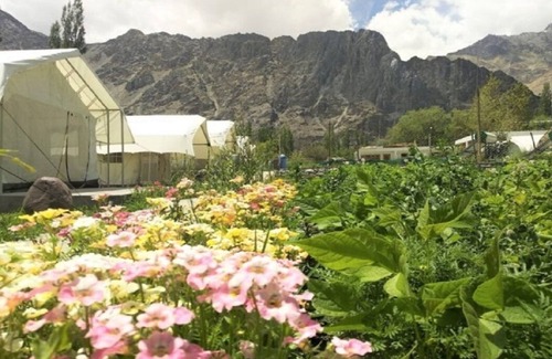 She RV Rental | Apple Cottage Nubra - Glamping