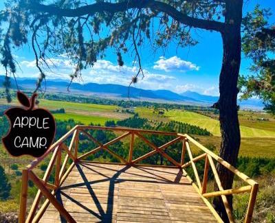 San Antonio de Las Alazanas Other | APPLE CAMP.