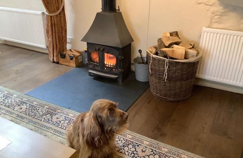 Tan-y-groes House | Apple Tree Corner