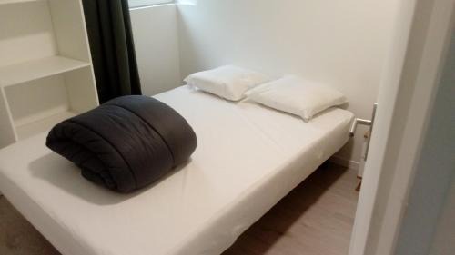 Laveissiere Apartment | appt tout confort a laveissiere 103