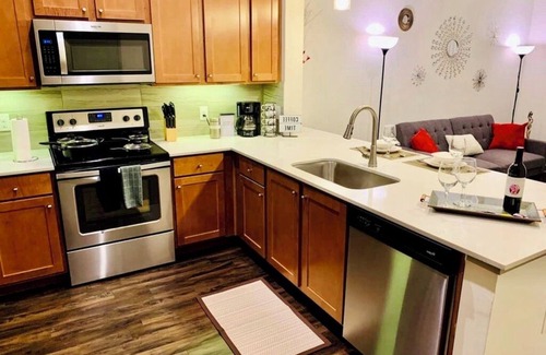 Central Business District Apartment | Apt 1-Bedroom FREE Parking in Downtown Houston with AC, WiFi, fitness room