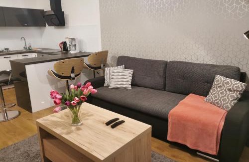Kolobrzeg Apartment | APT Nadmorskie - Feniks