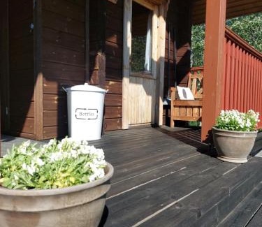 Tammela Ski Chalet | Apteekkarinmökki