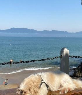 Prainha Apartment | Apto Areia azul-PÉ NA AREIA- PETFRIENDLY PREMIUM na prainha