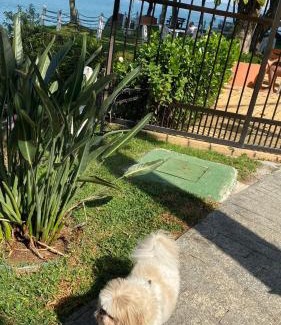 Prainha Apartment | Apto Areia azul-PÉ NA AREIA- PETFRIENDLY PREMIUM na prainha