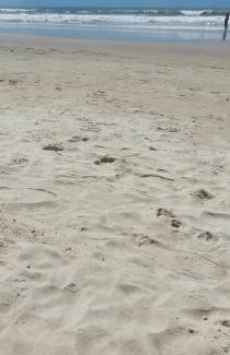 Balneario Arroio do Silva Apartment | Apto com Varanda 104 - Balneário Arroio do Silva - 300 metros do Mar