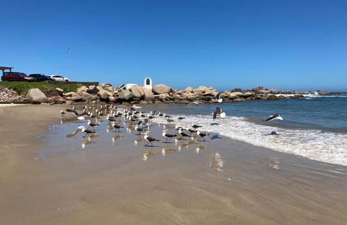 Laguna Apartment | Apto com vista para o mar e o farol - loft 323