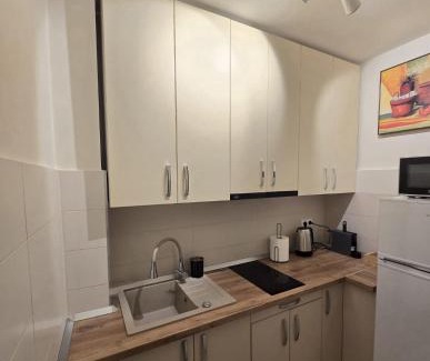 Baia Mare Apartment | Apus