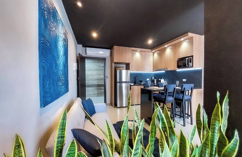 Santa Cruz Apartment | Aqua: Loft Artistico Urbano