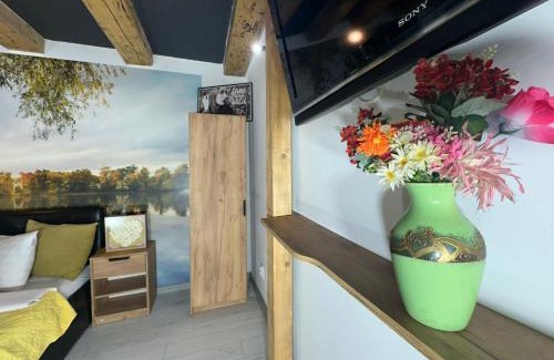 Craiova Apartment | Aqua Studio Central Free Parking