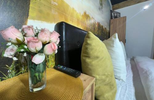 Craiova Apartment | Aqua Studio Central Free Parking