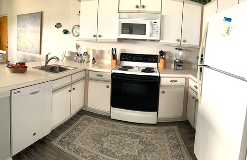 Cedar Key Condo | Aqua Vista - Gulf Front Condo with Birds Eye Views