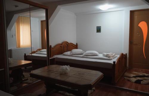 Campulung Moldovenesc House | Aquasalis