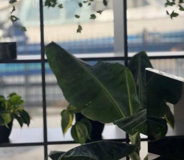 Kaunas Apartment | Aquaspot Kaunas