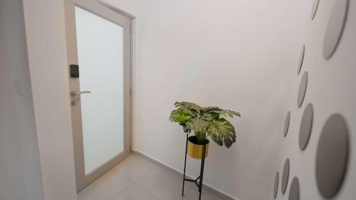 Dorado Pueblo Apartment | Aquaville Dorado Moderna Villa 5