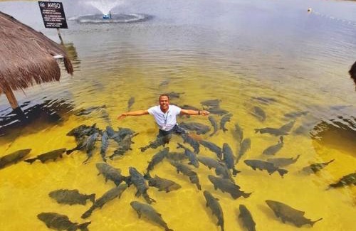Getulio Vargas House | Aracaju Suite - Seu Conforto no Coração da Capital