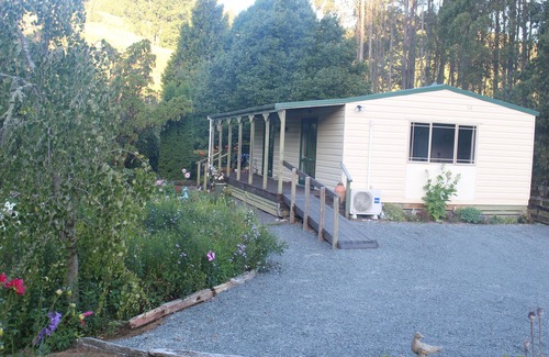 Aria Apartment | Aramatai Gardens BnB - immerse yourself in nature