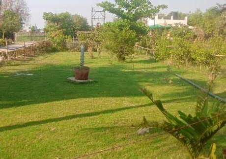 Gandhinagar Other | Aranya Bliss