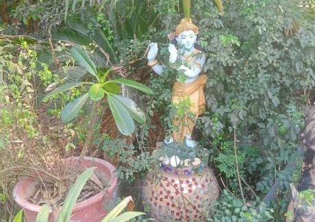 Gandhinagar Other | Aranya Bliss