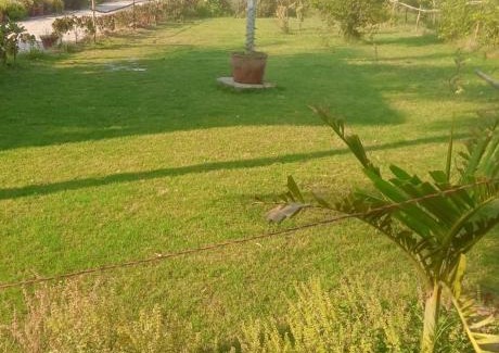 Gandhinagar Other | Aranya Bliss
