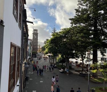 Historical Center Apartment | Araucaria3