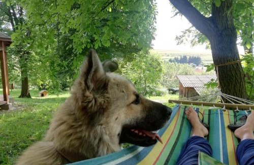 Pauleni-Ciuc Ski Chalet | Arboretum Guesthouse