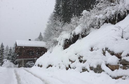 La Cote-d'Arbroz Ski Chalet | Arbroz