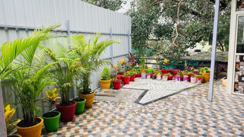 Mount Abu House | Arbuda inn